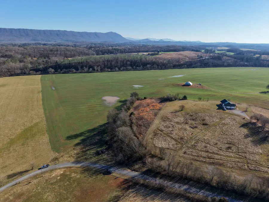 168 Moby Road, Delano, TN 37325 - #3