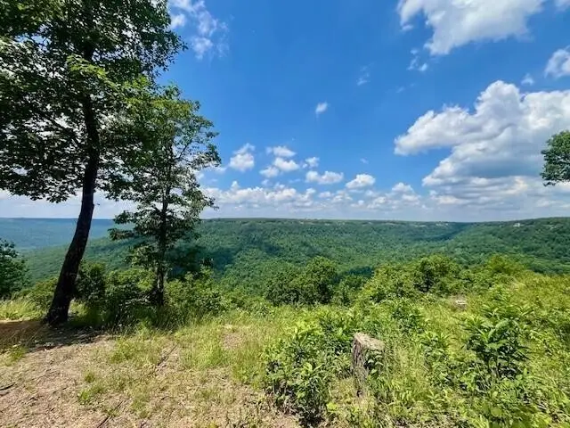 615 Cumberland Circle, Jasper, TN 37347 - #3