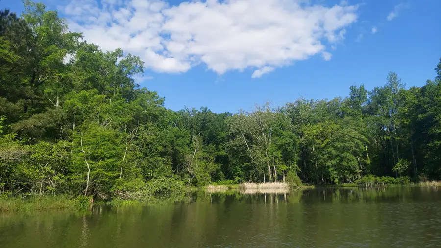 5 Warren Lane, Decatur, TN 37322 - #2