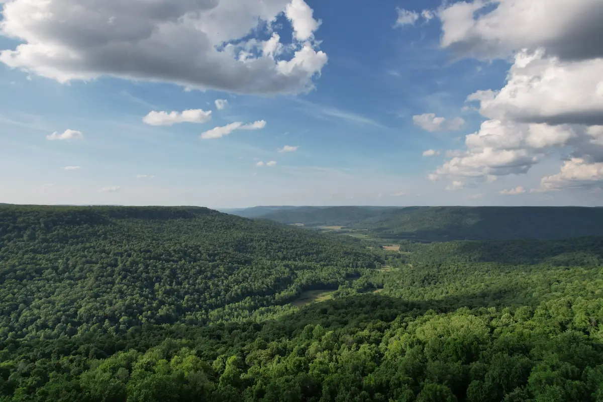 309 Blackberry Rd, Beersheba Springs, TN 37305 - #1