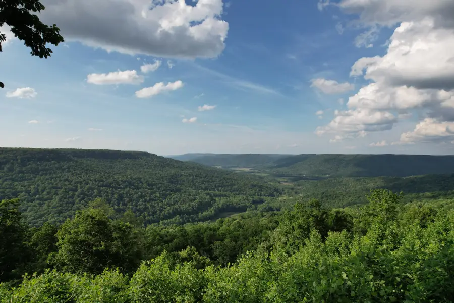 309 Blackberry Rd, Beersheba Springs, TN 37305 - #2