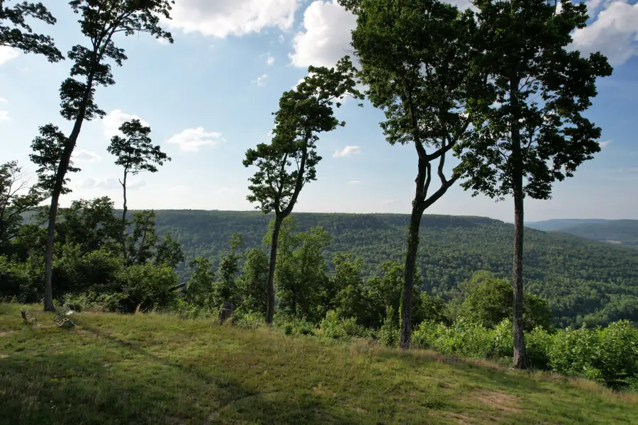 309 Blackberry Rd, Beersheba Springs, TN 37305 - #3