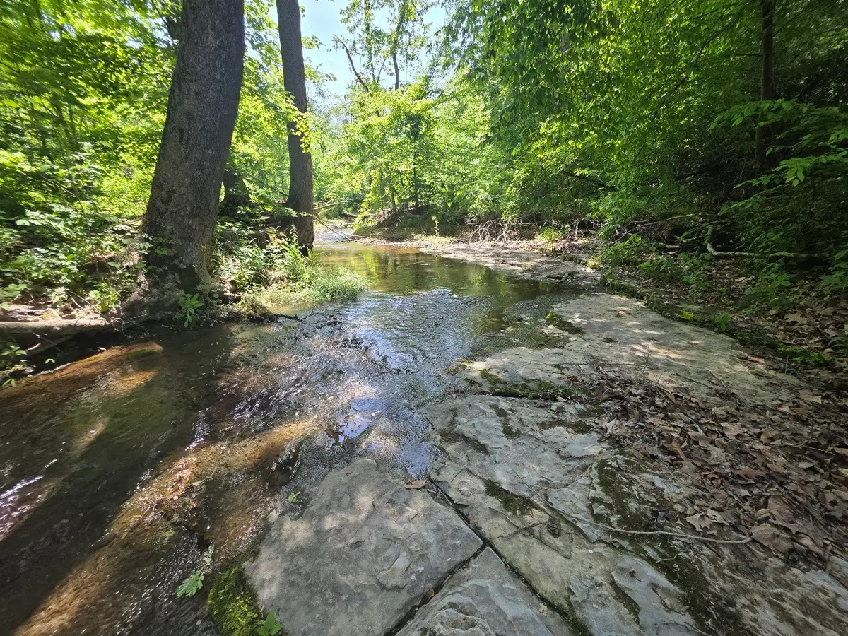 1310 Carney Winters Rd, Ashland City, TN 37015 - #1