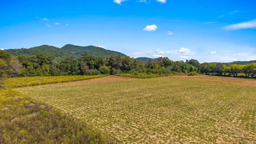 0 Tree Top Lane, Tellico Plains, TN 37385 - #2
