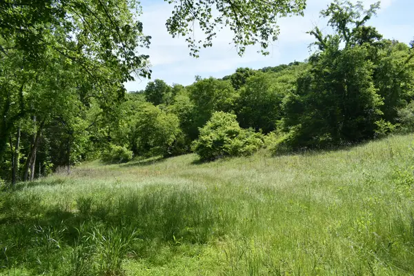 0 Brooks Bend Lane, Gainesboro, TN 38562