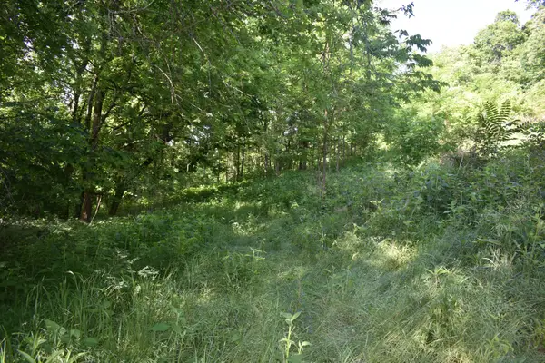 0 Brooks Bend Lane, Gainesboro, TN 38562