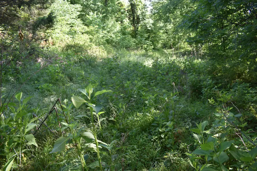 0 Brooks Bend Lane, Gainesboro, TN 38562 - #2