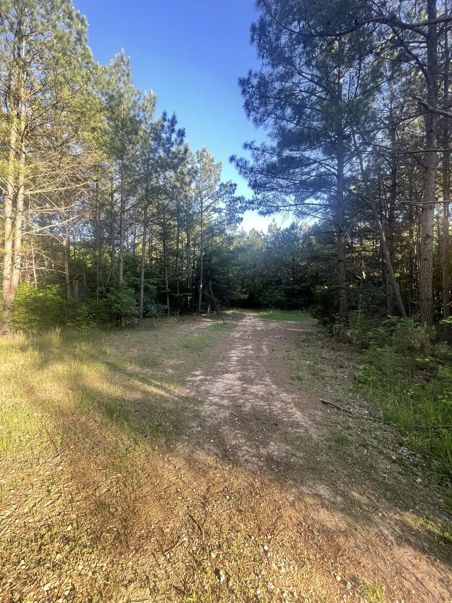 0 Leach Road, Huntingdon, TN 38344 - #2