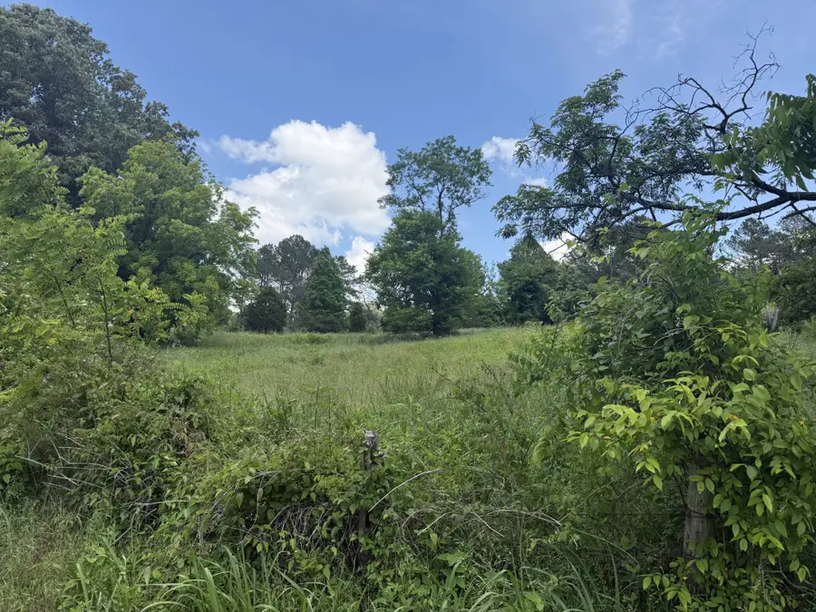 481 Rolin Hollow Rd, Ardmore, TN 38449 - #3