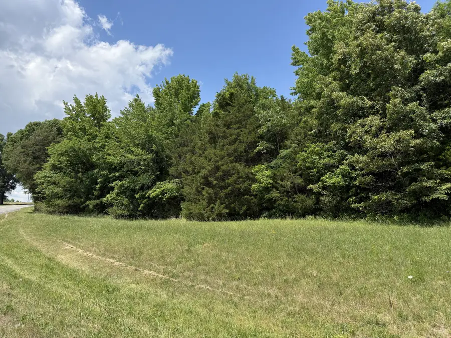 0 Kasserman Switch Rd, Belvidere, TN 37306 - #2