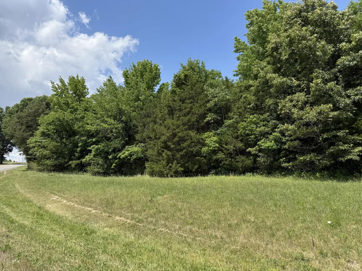 0 Kasserman Switch Rd, Belvidere, TN 37306 - #1