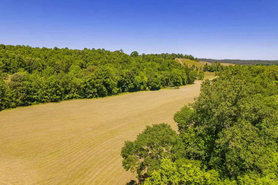 2119 Bunches Chapel Rd, Parsons, TN 38363 - #2