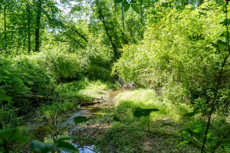 5424 Shiloh Adamsville Rd, Stantonville, TN 38379 - #2