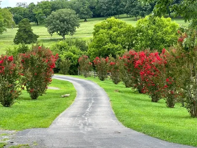 1839 Polly Adams Rd, Belfast, TN 37019 - #2