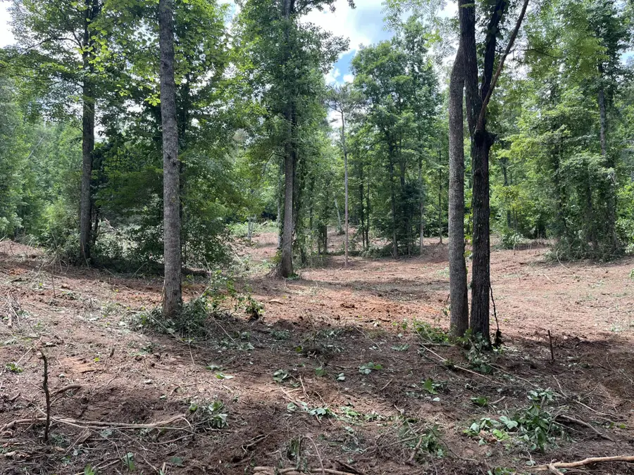 2277 Tellico Reliance Road, Reliance, TN 37369 - #3