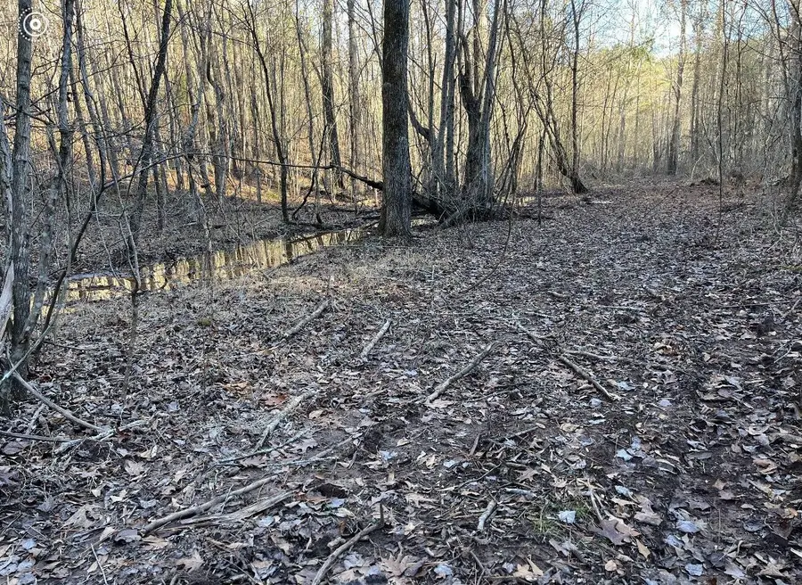 0 County Road 956, Calhoun, TN 37309 - #2