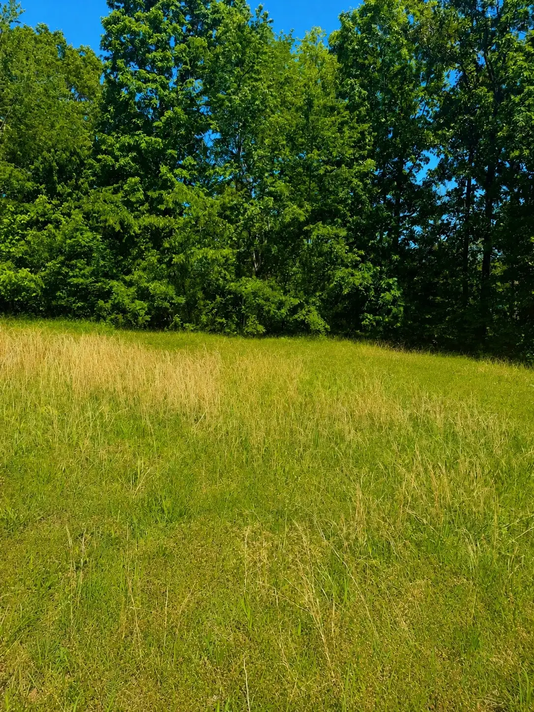 1665 Eno Rd, Dickson, TN 37055 - #1