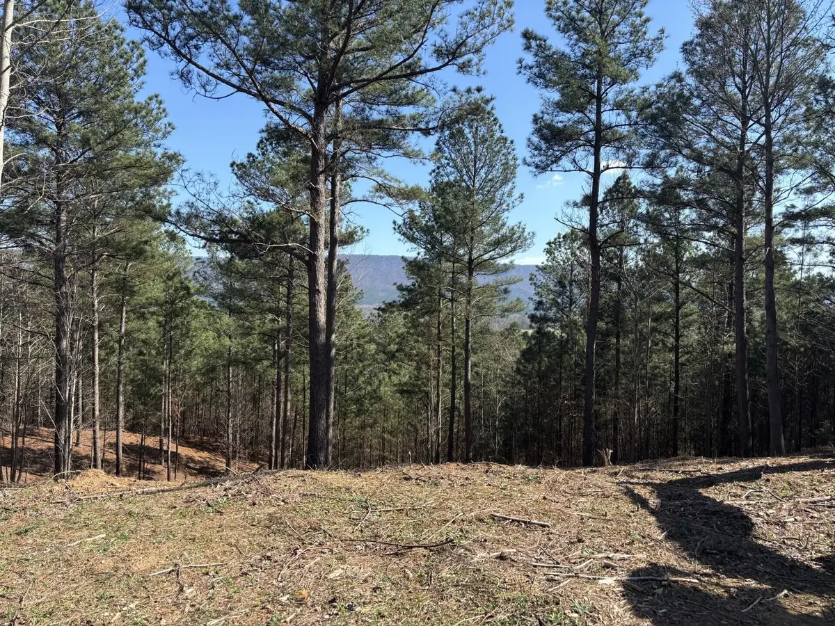 0 County Road 609, Etowah, TN 37331 - #1