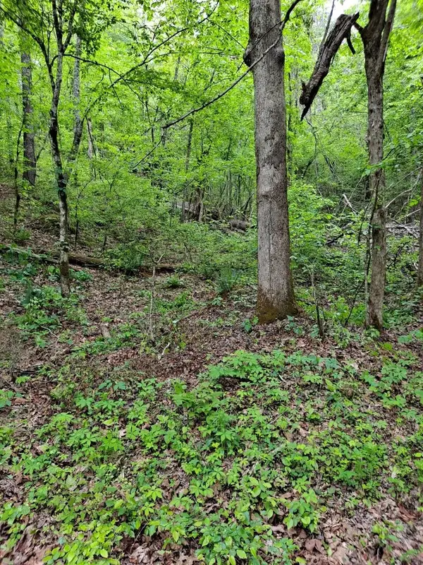 0 Childers Creek, Reliance, TN 37369