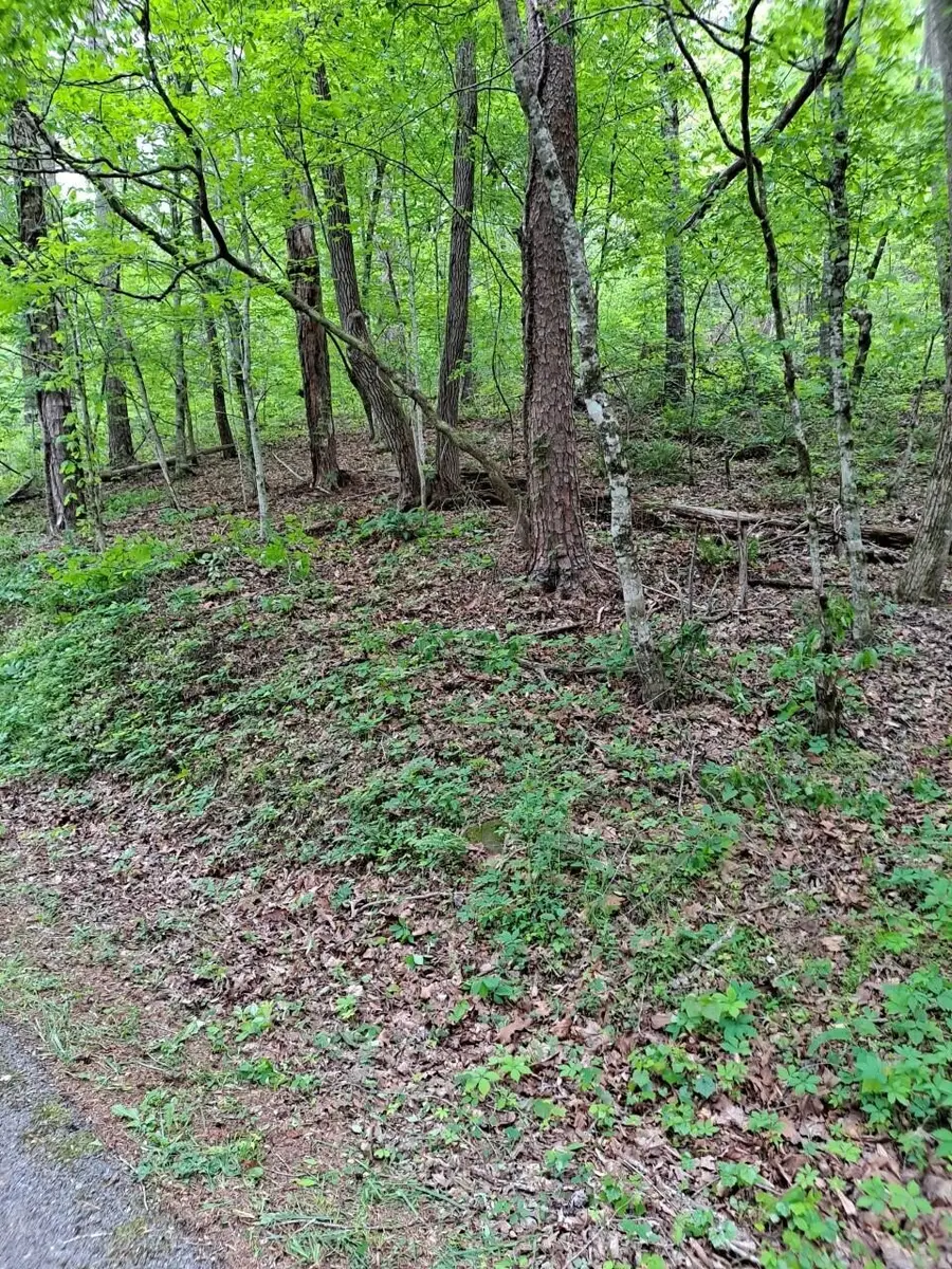 0 Childers Creek, Reliance, TN 37369 - #2