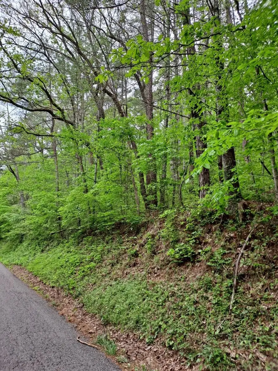 0 Childers Creek, Reliance, TN 37369 - #3