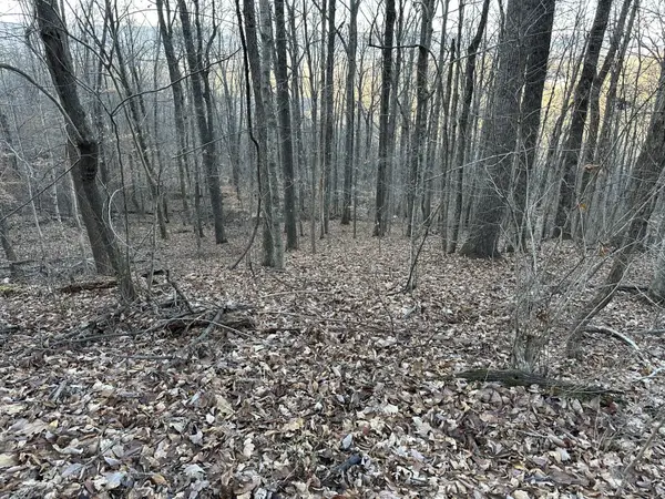 76 Fox Ridge, Pikeville, TN 37367