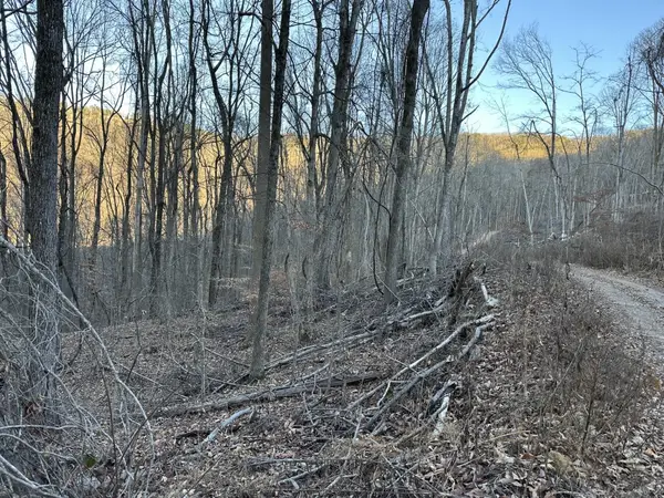 3233 Stone Ridge Road Road, Pikeville, TN 37367