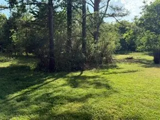 25 4th Ave, Mount Juliet, TN 37122 - #3