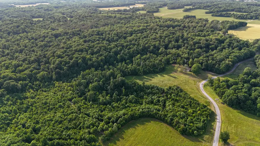 0 Mcadams Rd, Greenfield, TN 38230 - #3
