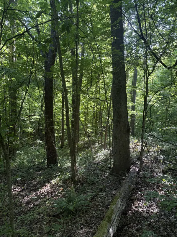 0 W Of Crigger Rd, Millington, TN 38053