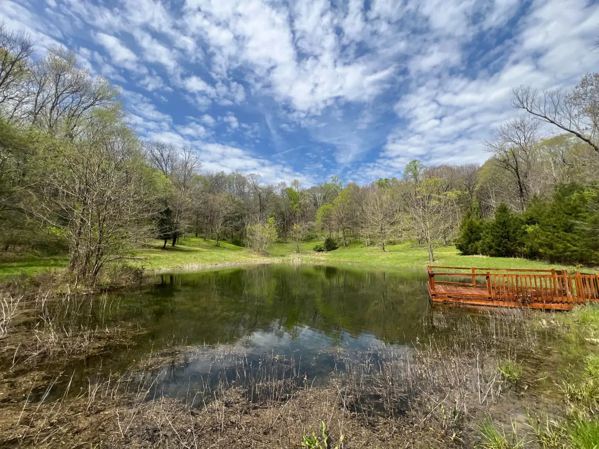 10515 Paw Paw Springs Rd, Arrington, TN 37014 - #1