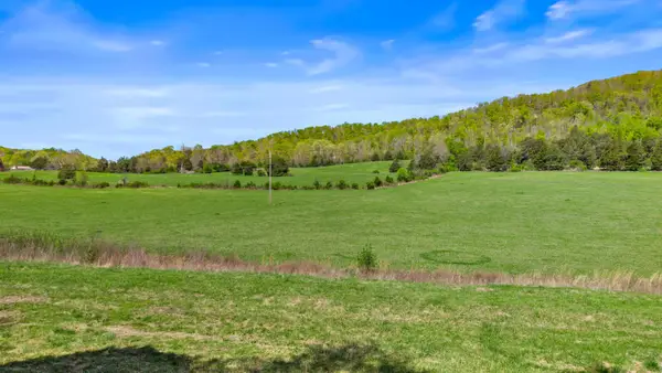 0 Dogtown Road Road, Ten Mile, TN 37880