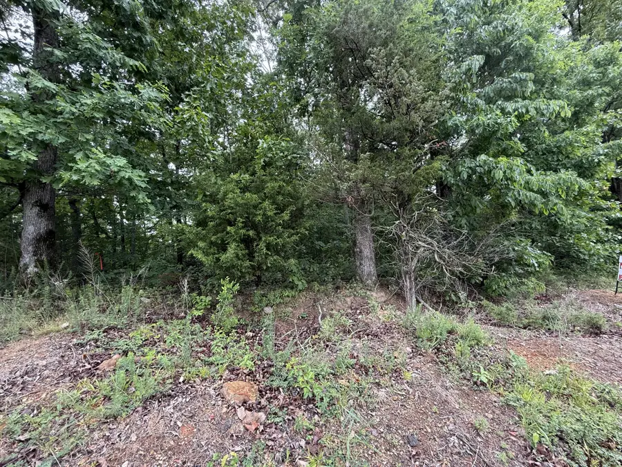 2 Anglin Ridge Rd, Dover, TN 37058 - #3
