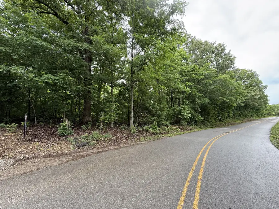 4 Anglin Ridge Rd, Dover, TN 37058 - #2