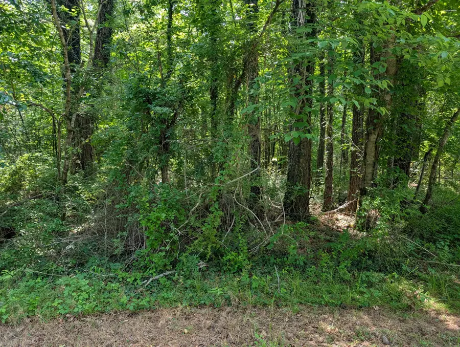 0 Gum Street, Tracy City, TN 37387 - #2