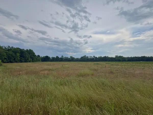 0 Duncan Rd, Manchester, TN 37355