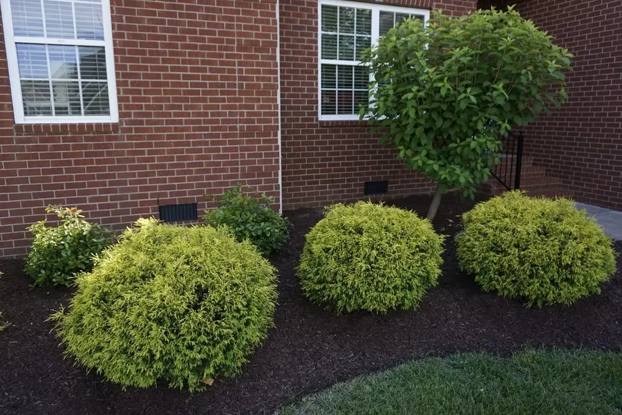 3606 Geneva Dr, Murfreesboro, TN 37128 - #2