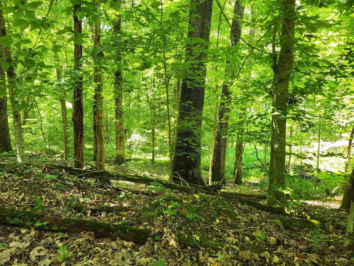 0 Indian Creek Rd, Dover, TN 37058 - #1