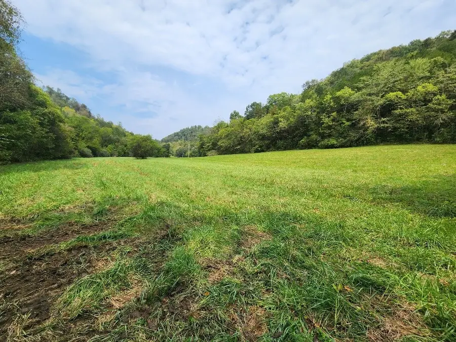 0 Webster Branch Ln, Whitleyville, TN 38588 - #2