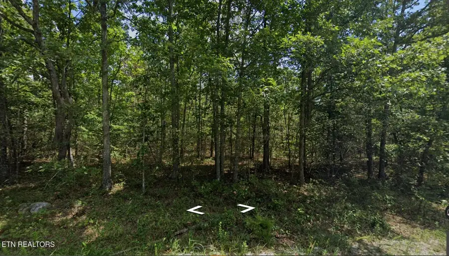 2015 Winnebago Drive, Crossville, TN 38572 - #3