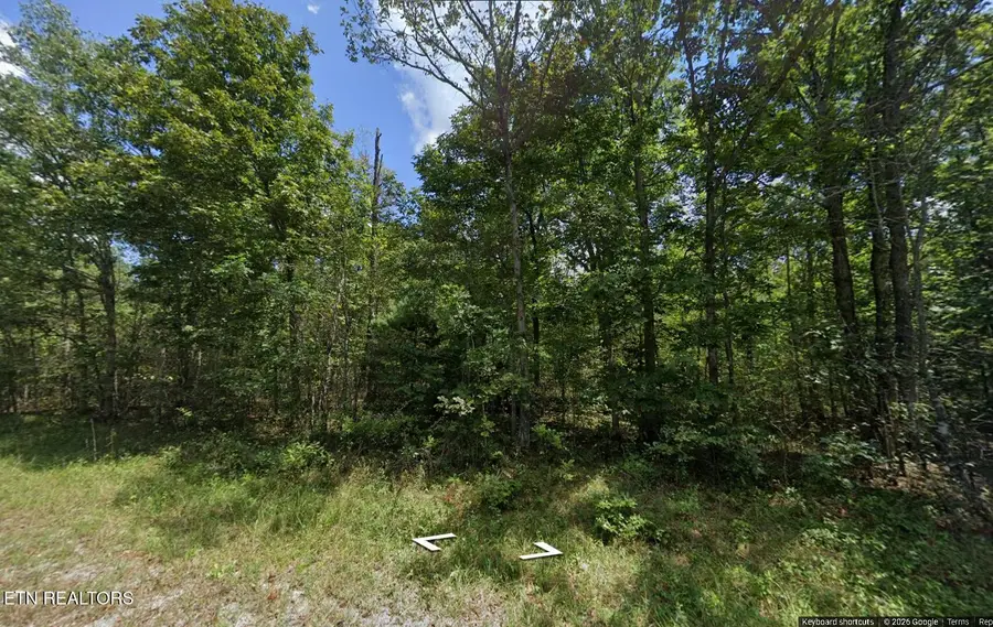 3029 Diego Drive, Crossville, TN 38572 - #3