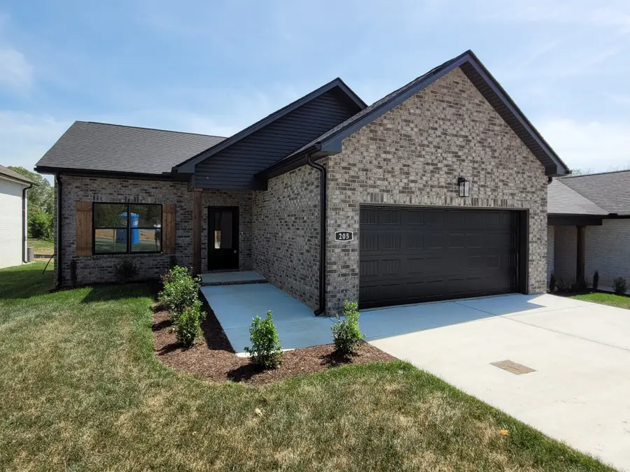 205 Sandalwood Way, Dickson, TN 37055 - #2