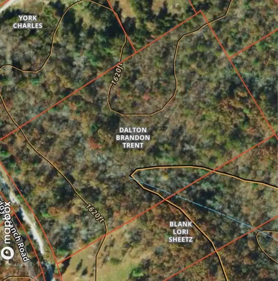 982 Muddy Branch Rd, Crossville, TN 38571 - #3