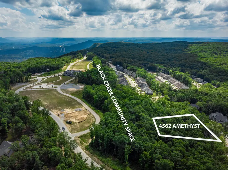 4562 Amethyst Road, Chattanooga, TN 37419 - #3