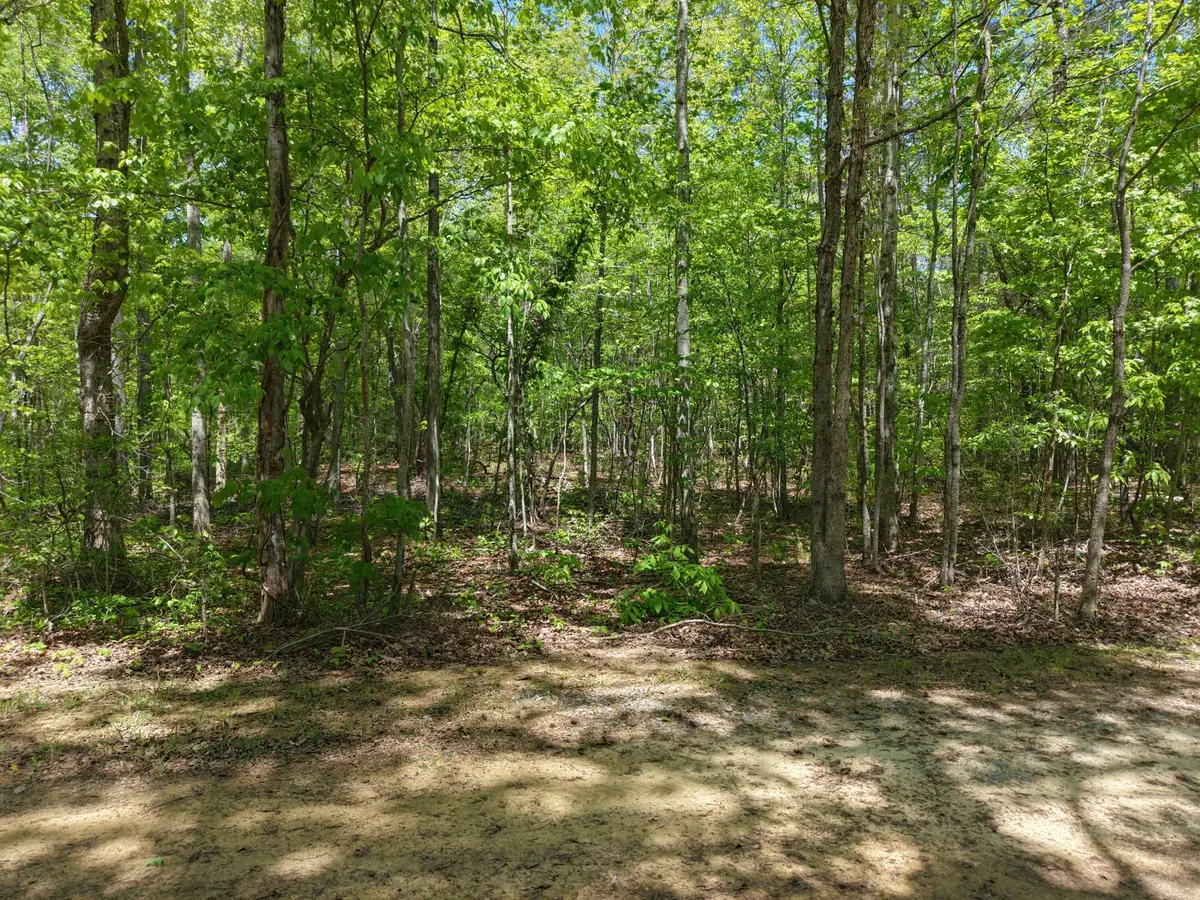 0 Jim Black Drive, Old Fort, TN 37362 - #1