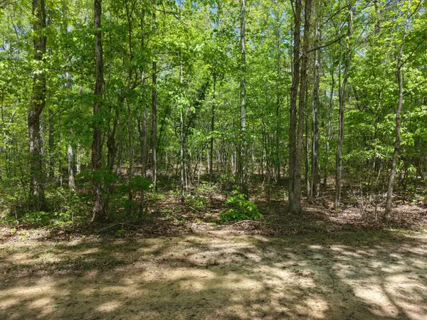 0 Jim Black Drive, Old Fort, TN 37362