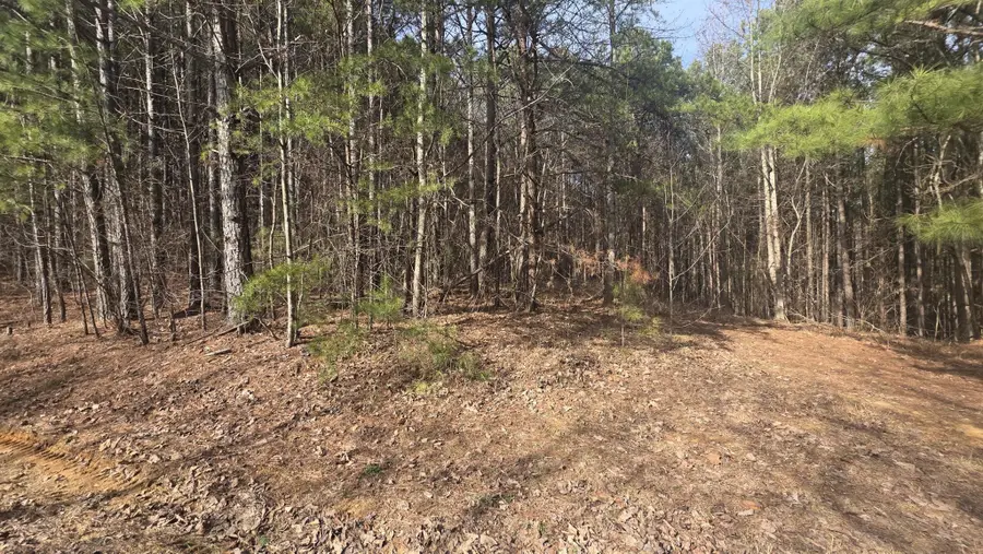 180 Rock Creek Drive, Old Fort, TN 37362 - #3