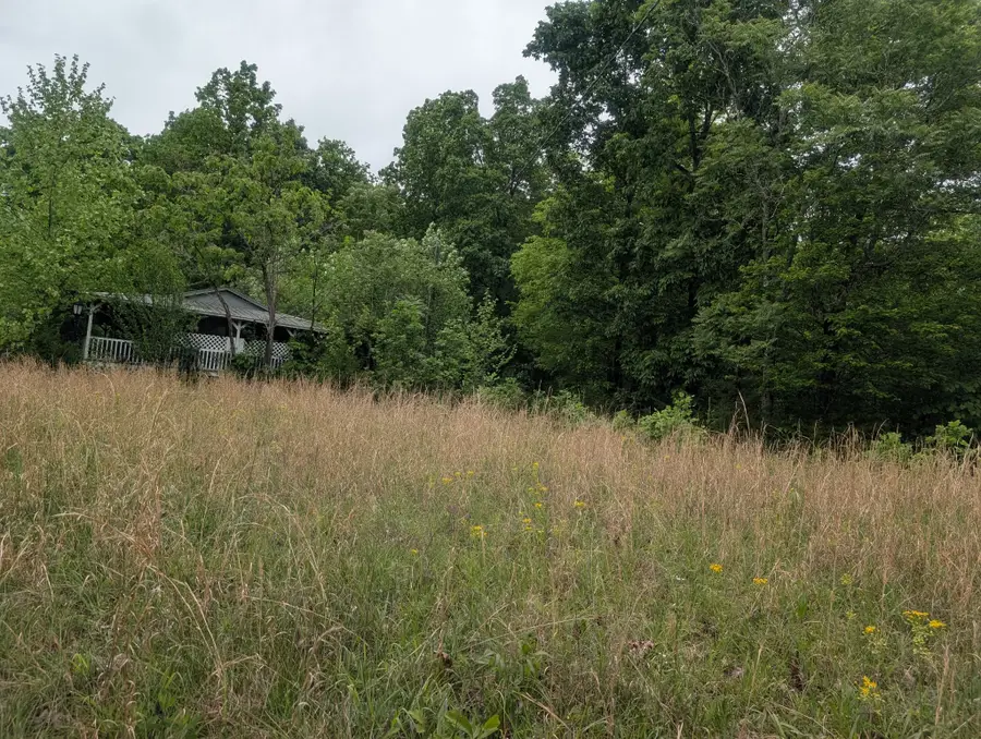 1475 Holland Road, Lafayette, TN 37083 - #2