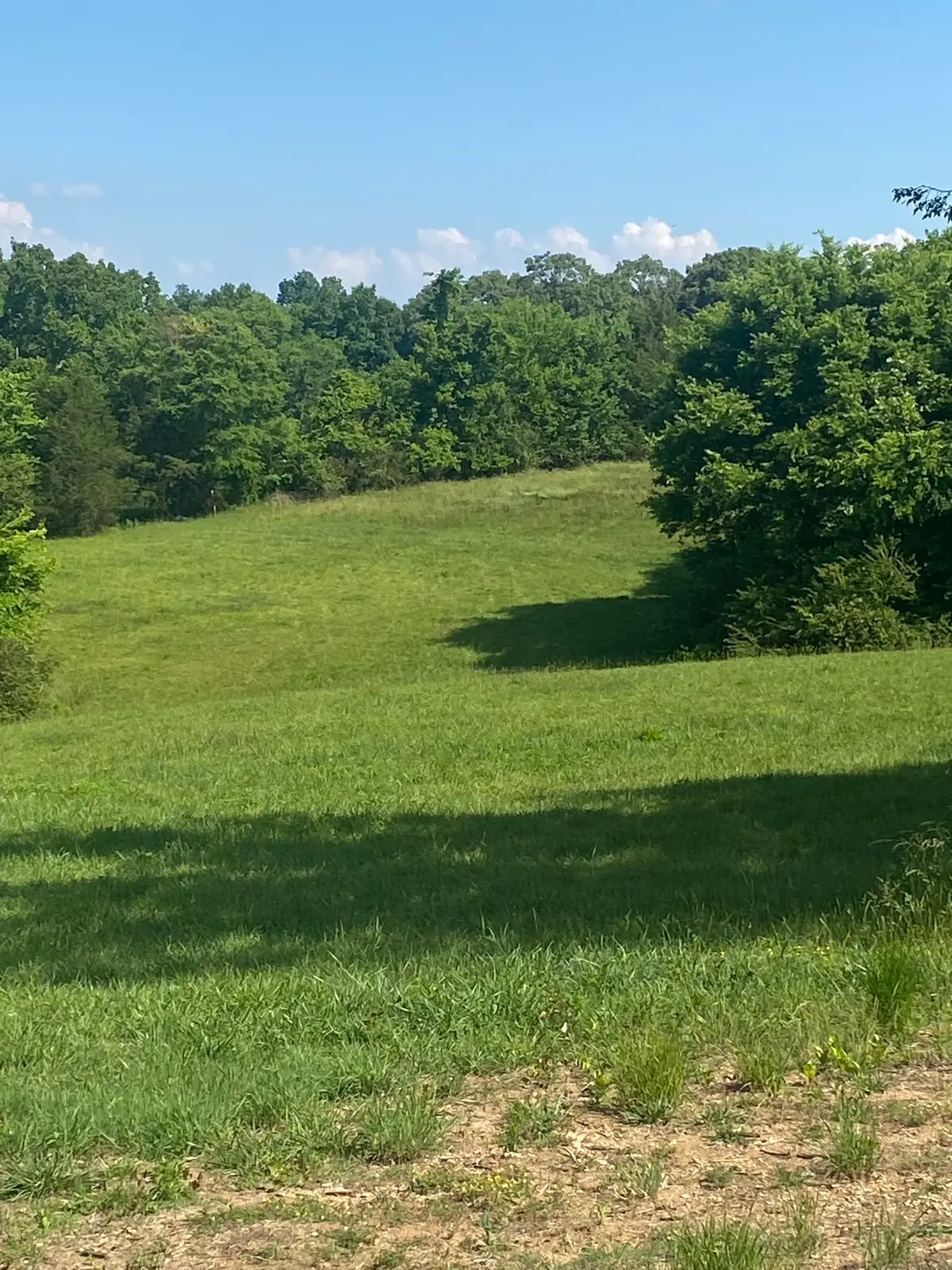 656 County Rd, Anderson, AL 35610 - #1