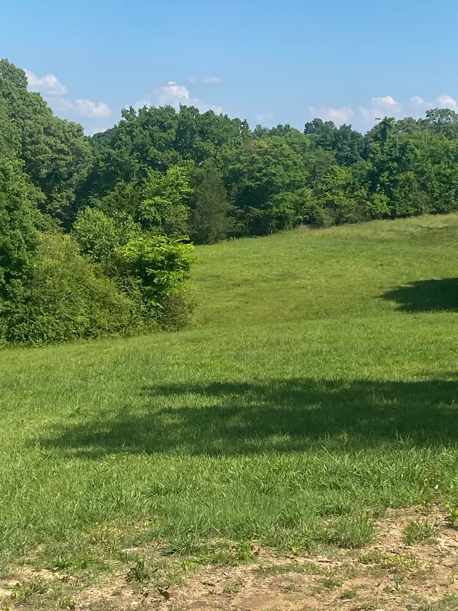 656 County Rd, Anderson, AL 35610 - #3